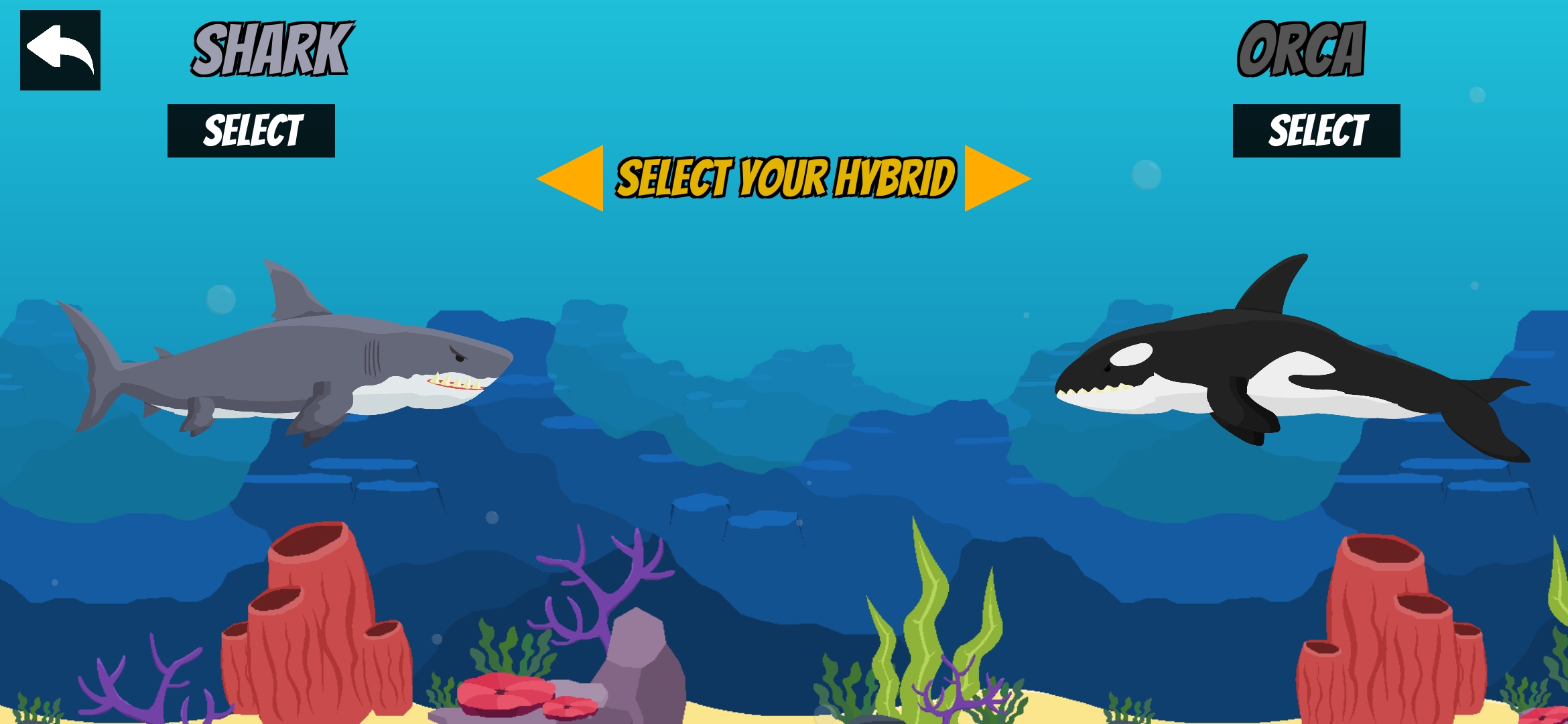 海洋霸主：大白鲨VS虎鲸