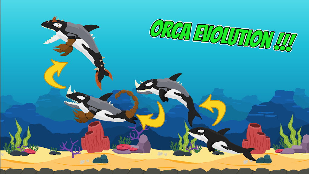 海洋霸主：大白鲨VS虎鲸