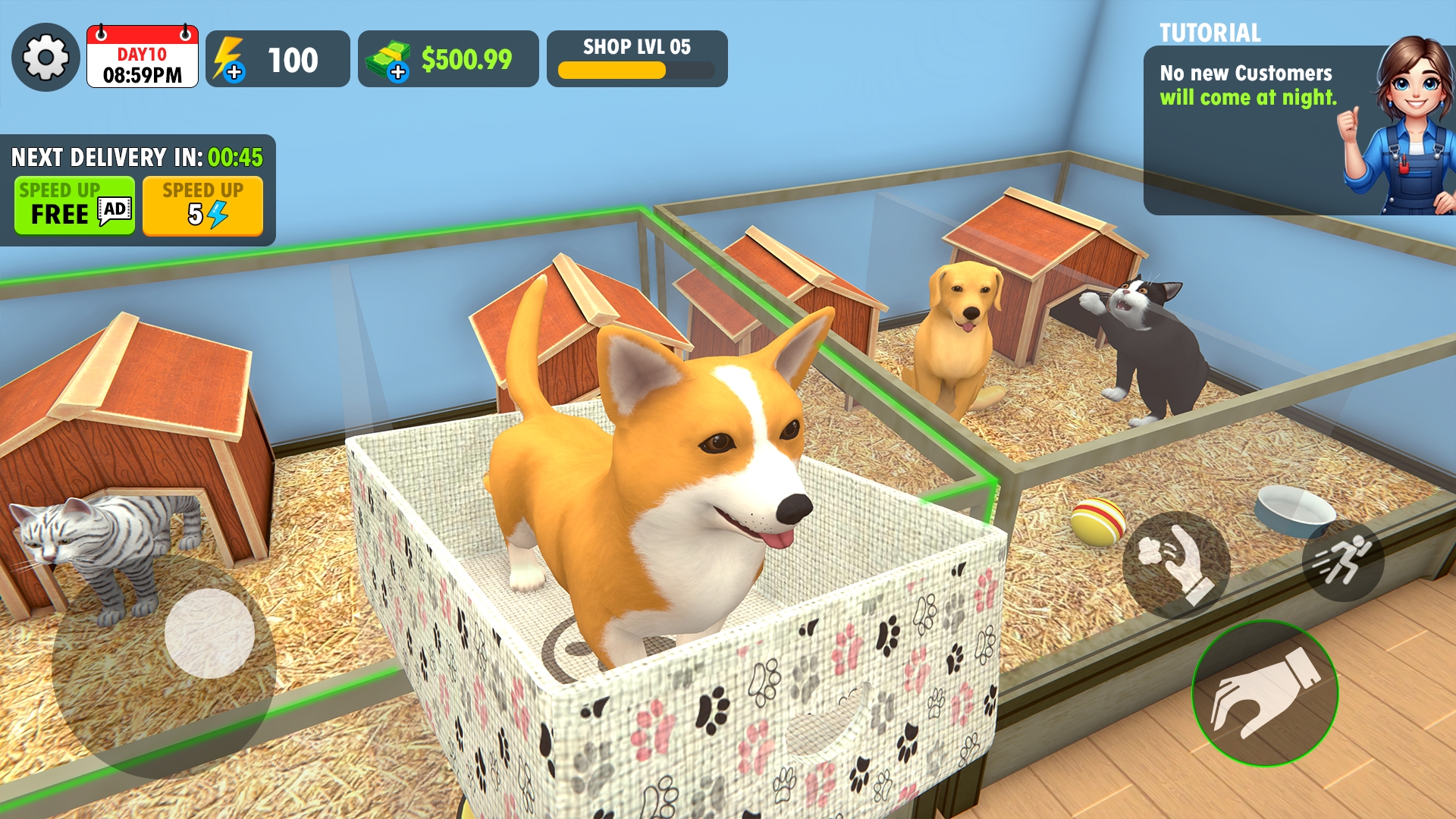 宠物店旅程模拟器