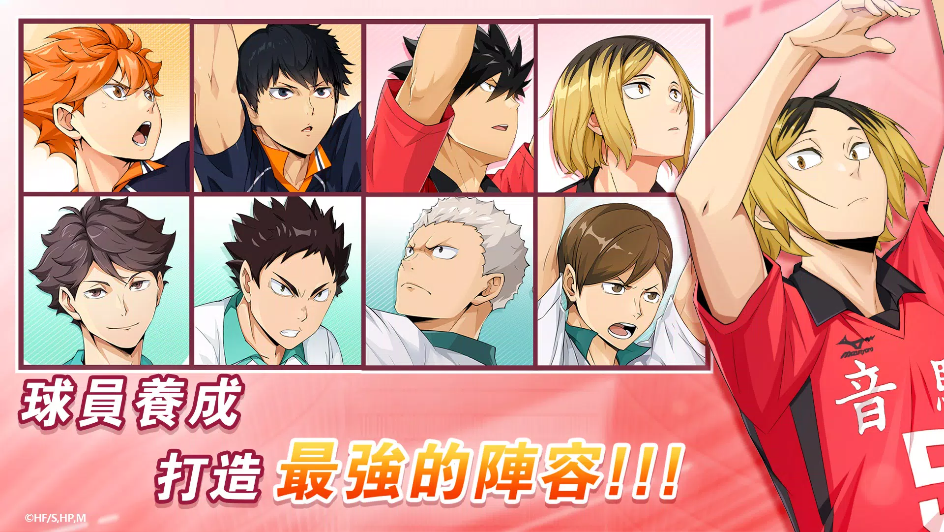 排球少年!!FLY HIGH(台服)