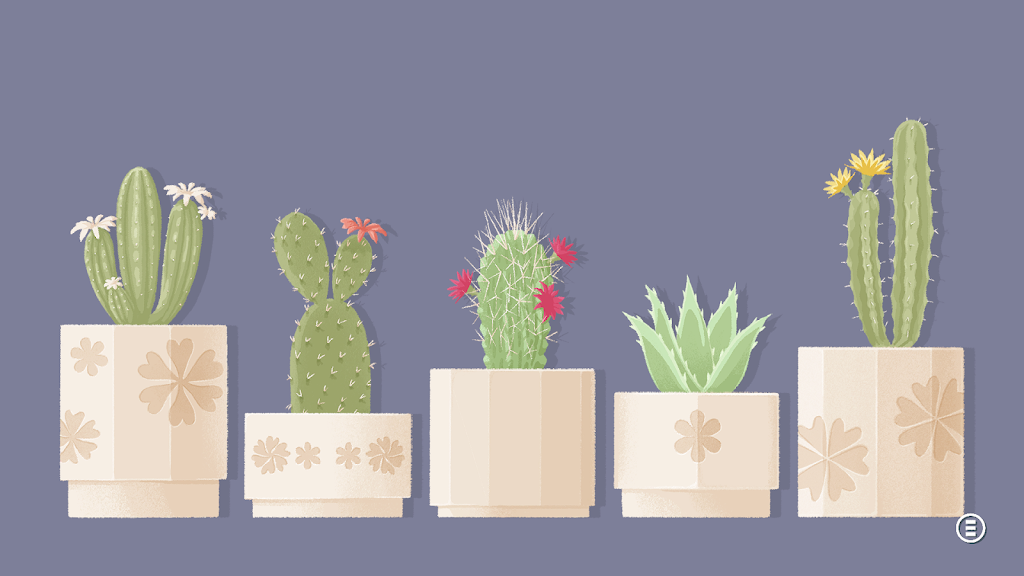 向左一点：看见星星