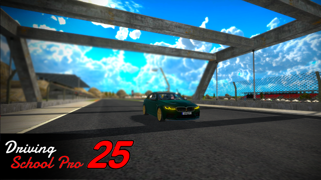 驾校专业版25