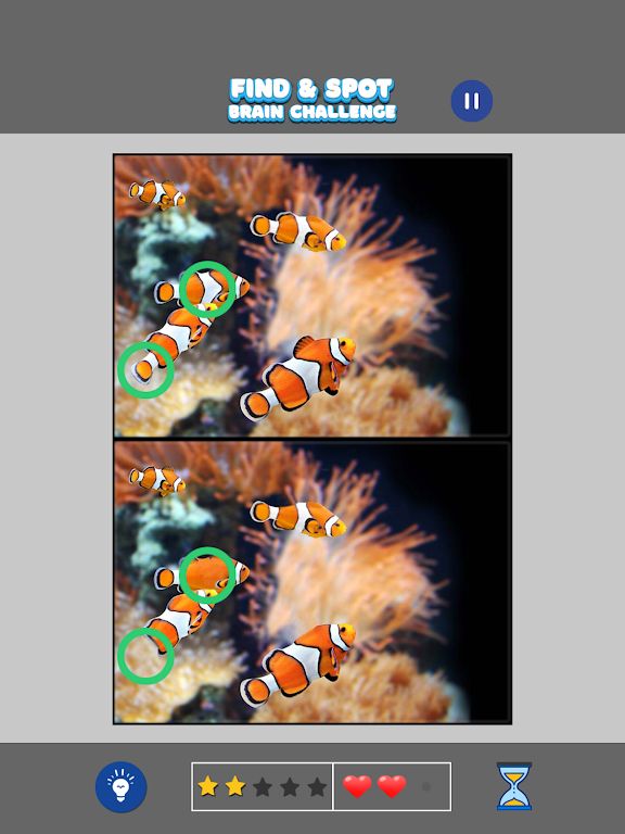 发现差异：大脑挑战