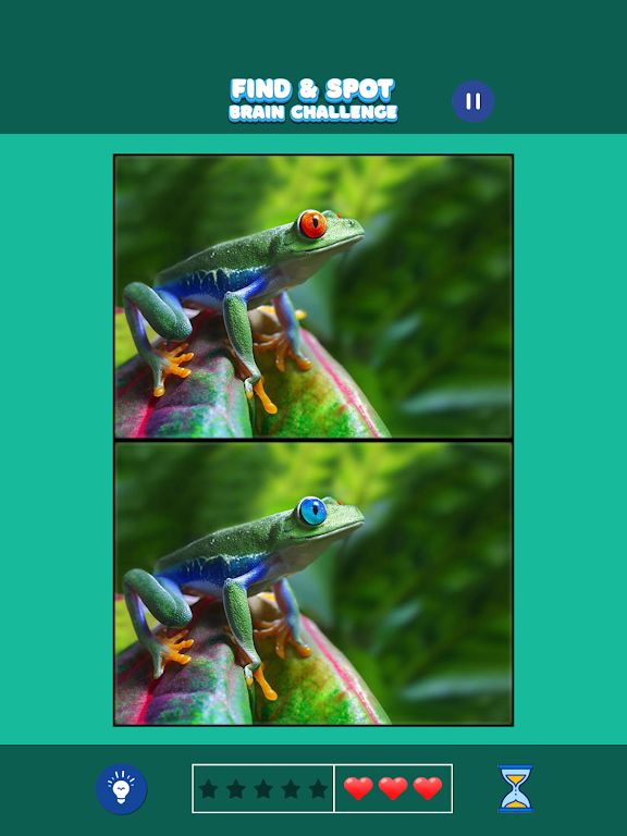 发现差异：大脑挑战