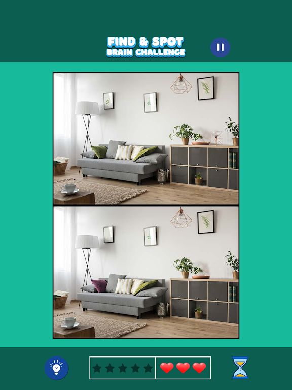 发现差异：大脑挑战