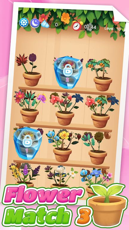 花卉比赛 3 花卉比赛 3