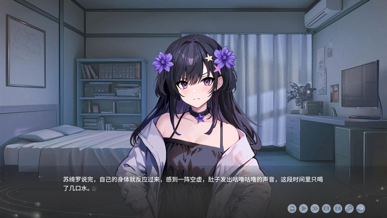 心所向往的北极星