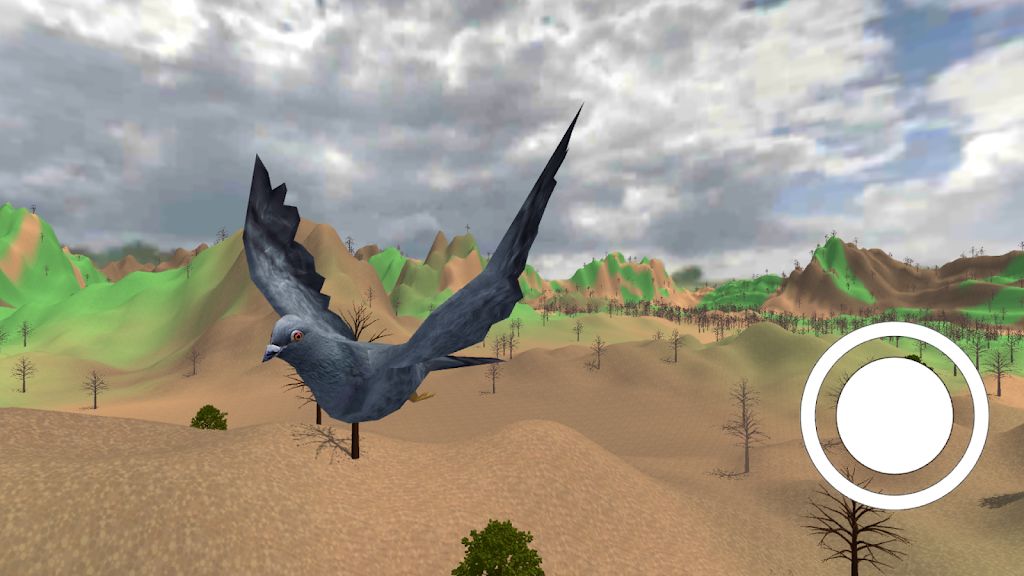 鸽子飞行模拟