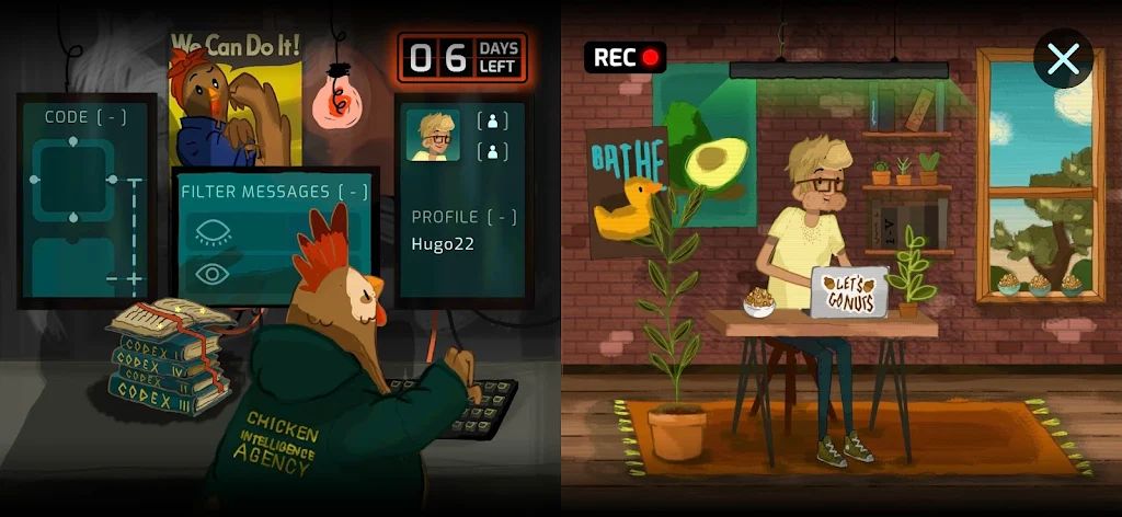 小鸡情报局 小鸡情报局