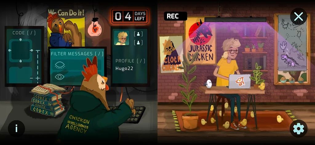 小鸡情报局 小鸡情报局