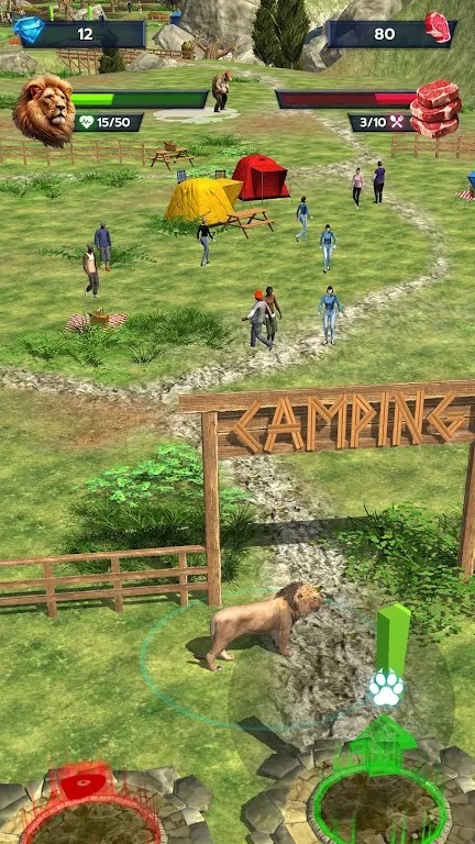 狮子生存 狮子生存