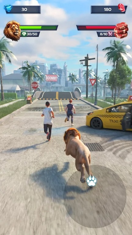 狮子生存 狮子生存