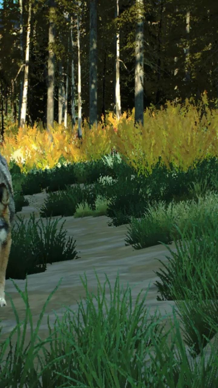 狩猎之道兼容版