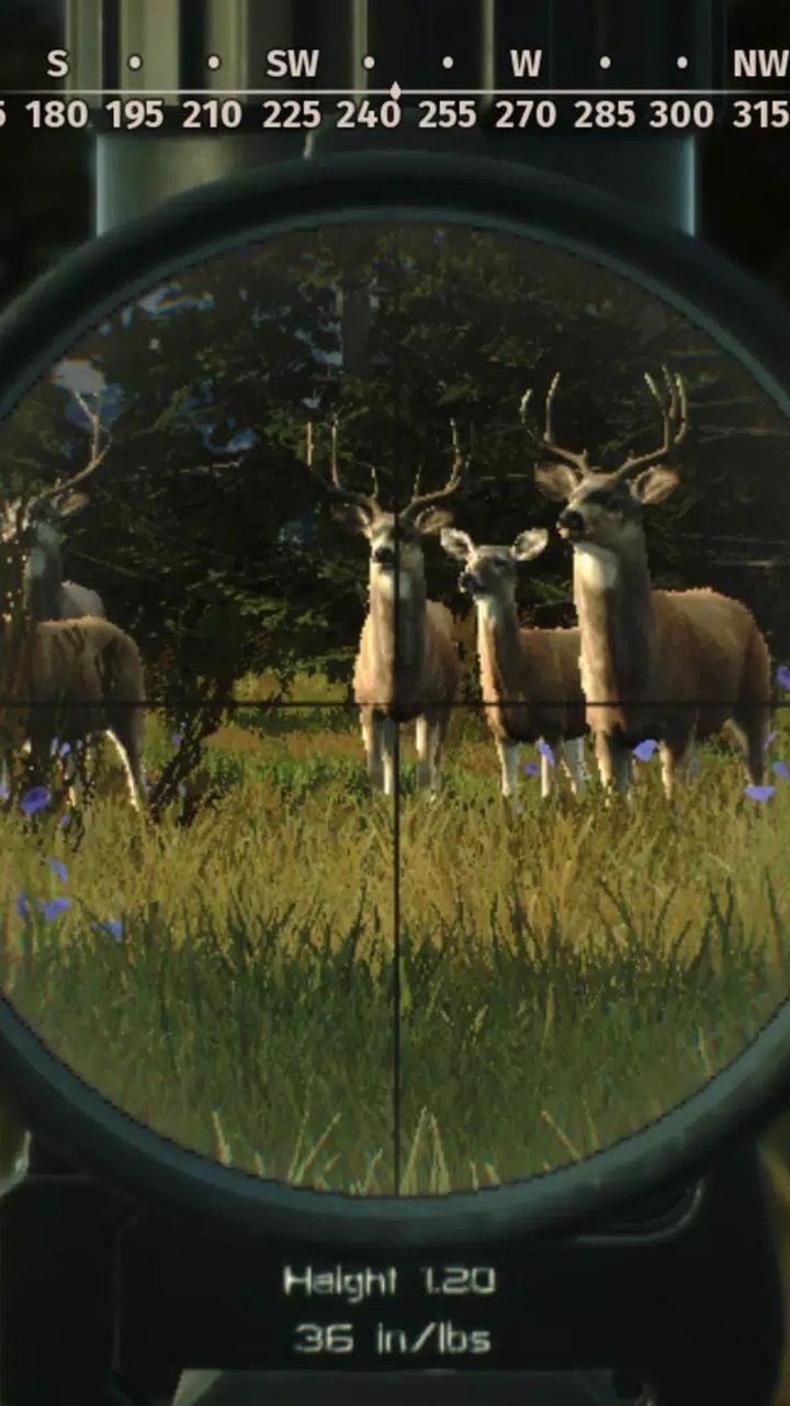 狩猎之道兼容版