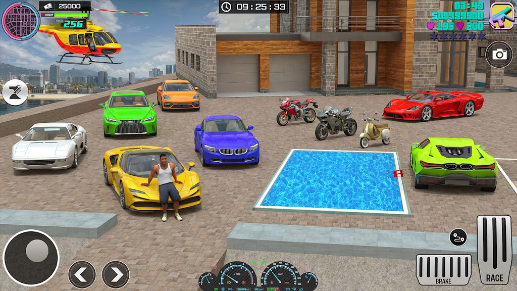 大城市黑帮世界 大城市黑帮世界