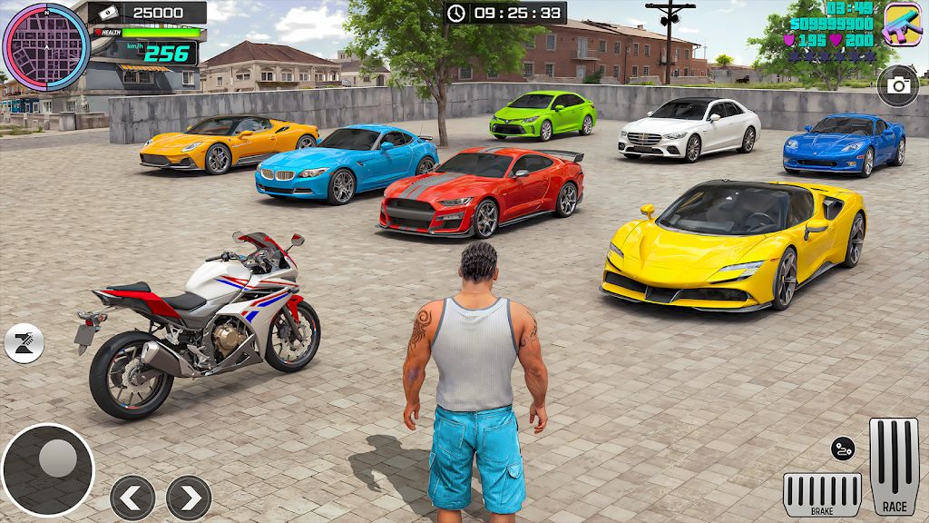 大城市黑帮世界 大城市黑帮世界