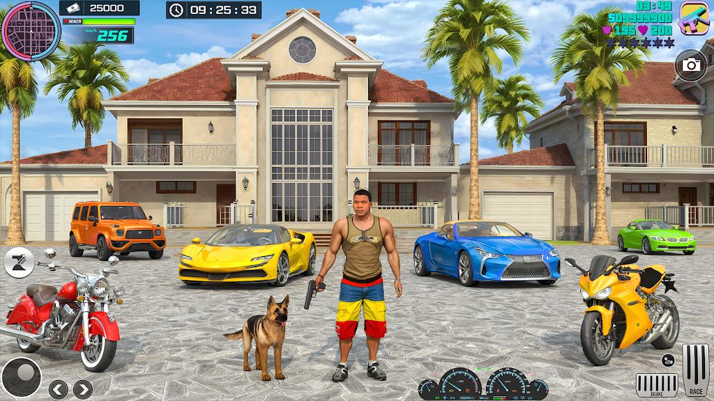 大城市黑帮世界 大城市黑帮世界