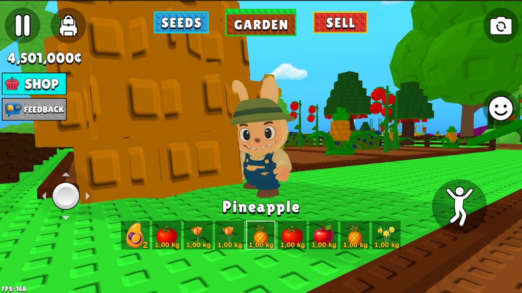 拉布布种植花园