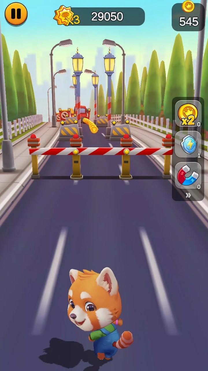 奔跑的宠物猫 奔跑的宠物猫