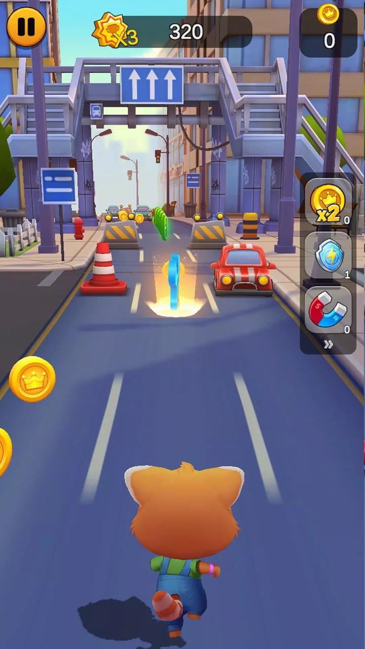 奔跑的宠物猫 奔跑的宠物猫