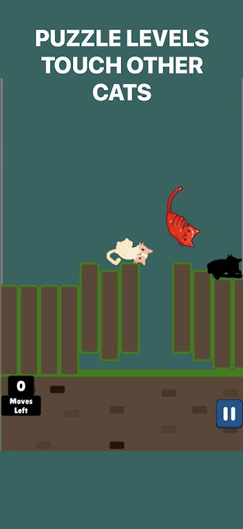 软萌猫咪大冒险