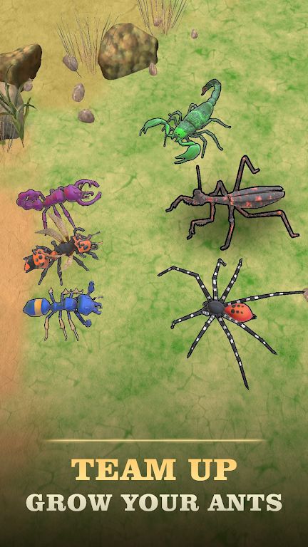 蚂蚁王国(辅助菜单) 蚂蚁王国(辅助菜单)