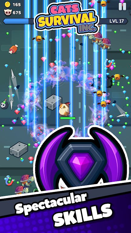 猫咪生存公司 猫咪生存公司