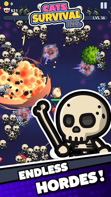 猫咪生存公司 猫咪生存公司