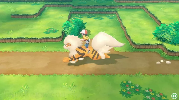 宝可梦LetsGo伊布