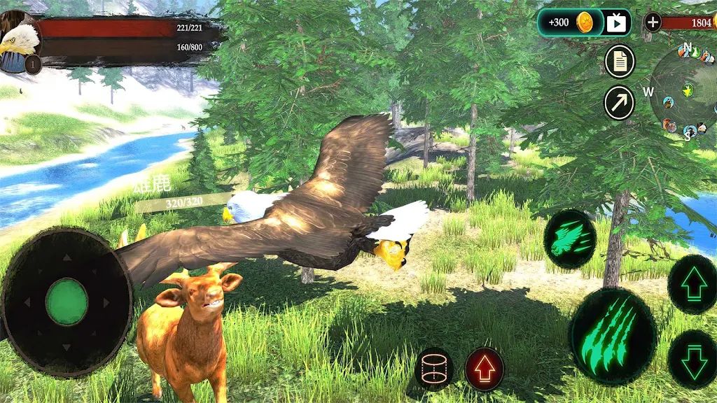 老鹰模拟器