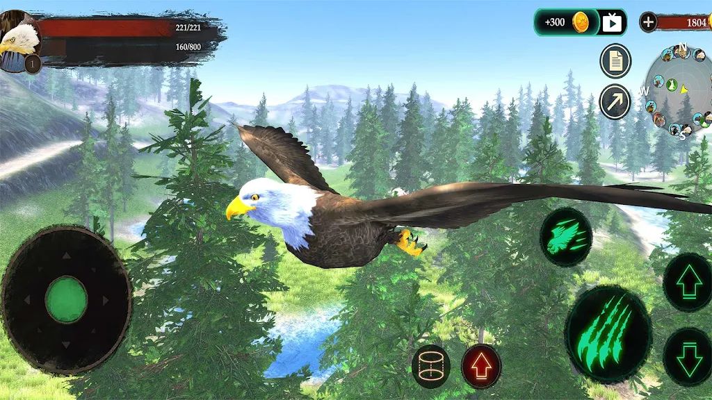 老鹰模拟器