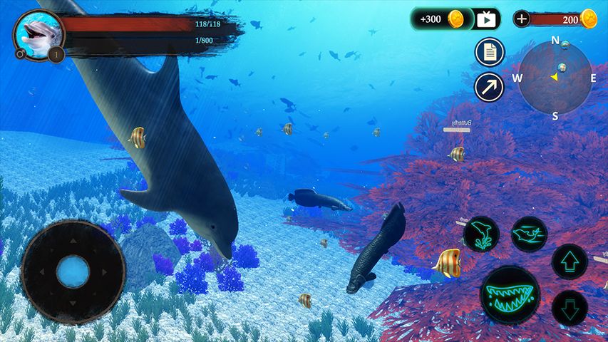 海豚模拟器 海豚模拟器