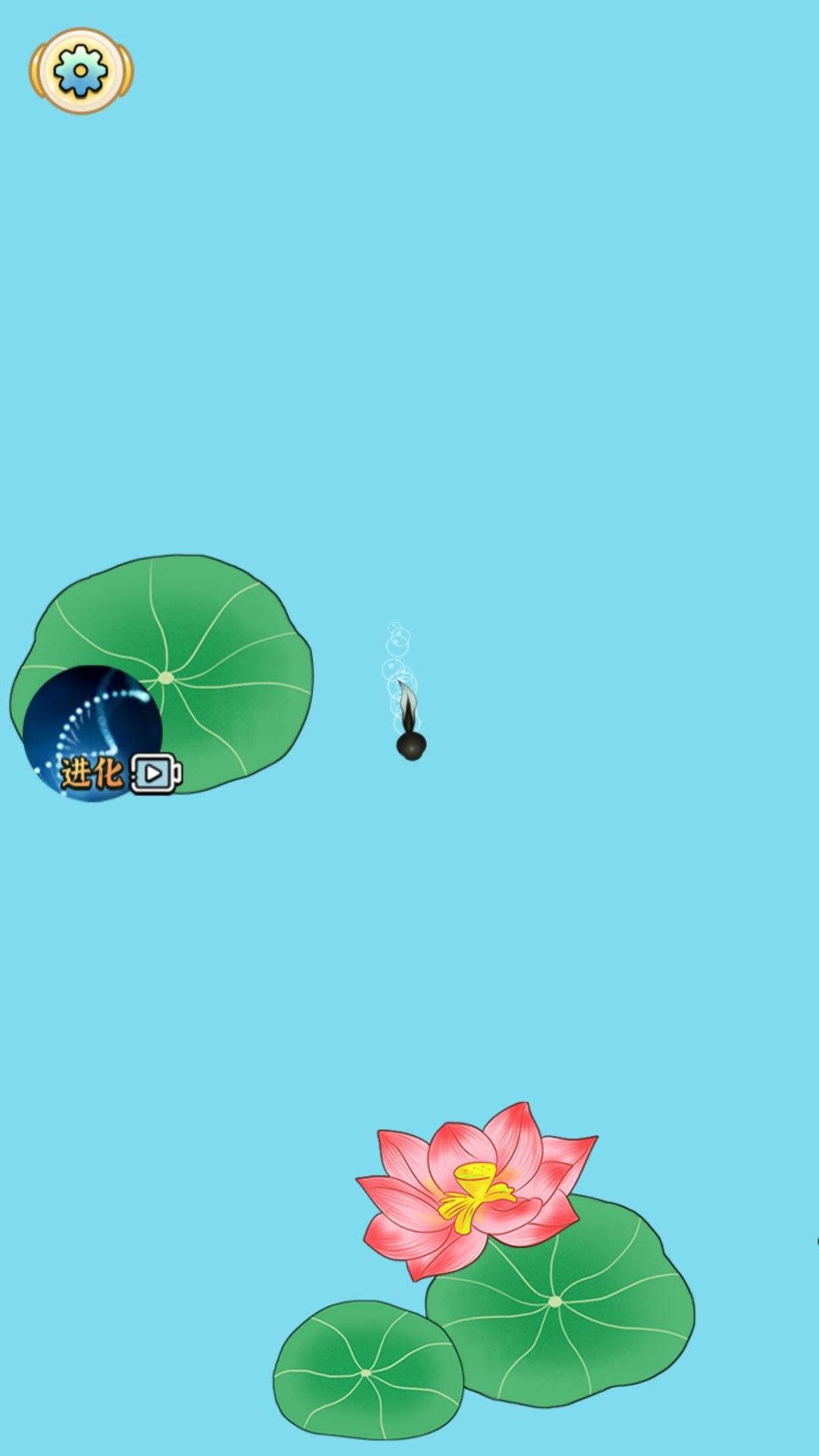 召唤神龙仙人版