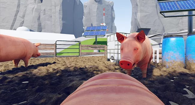 小猪模拟器