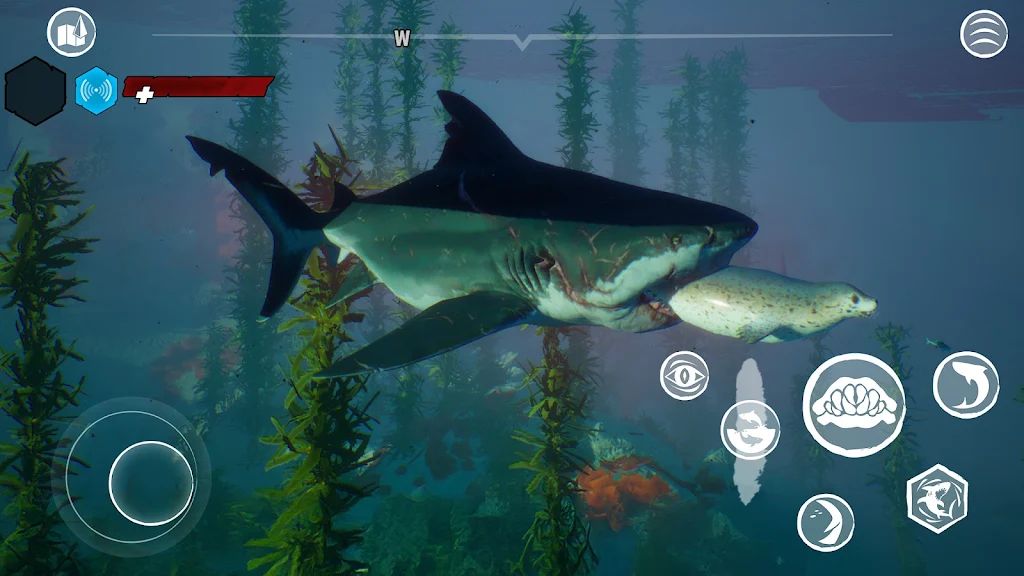 食人鲨直装版(辅助菜单)