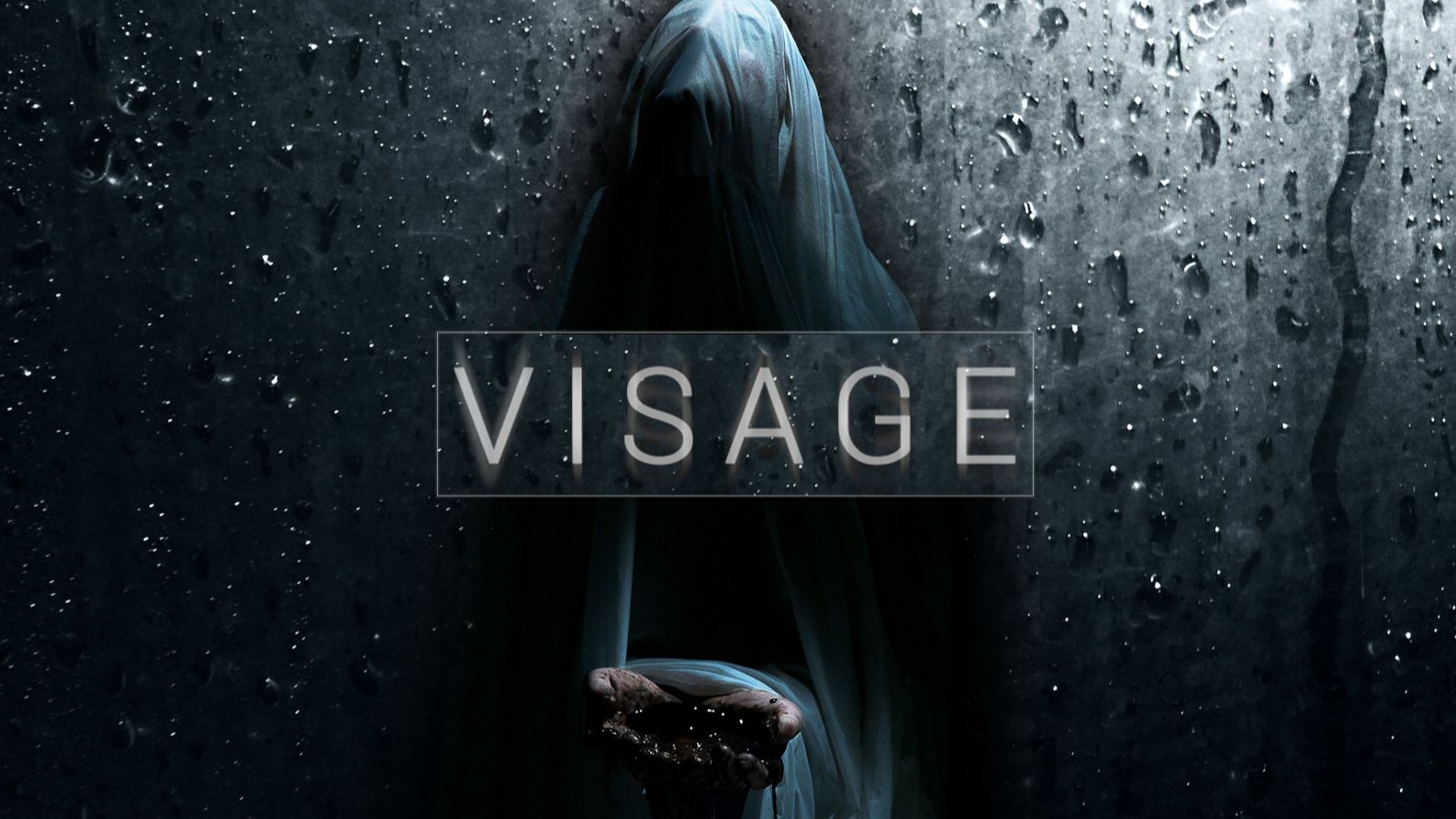 面容 VISAGE 面容 VISAGE