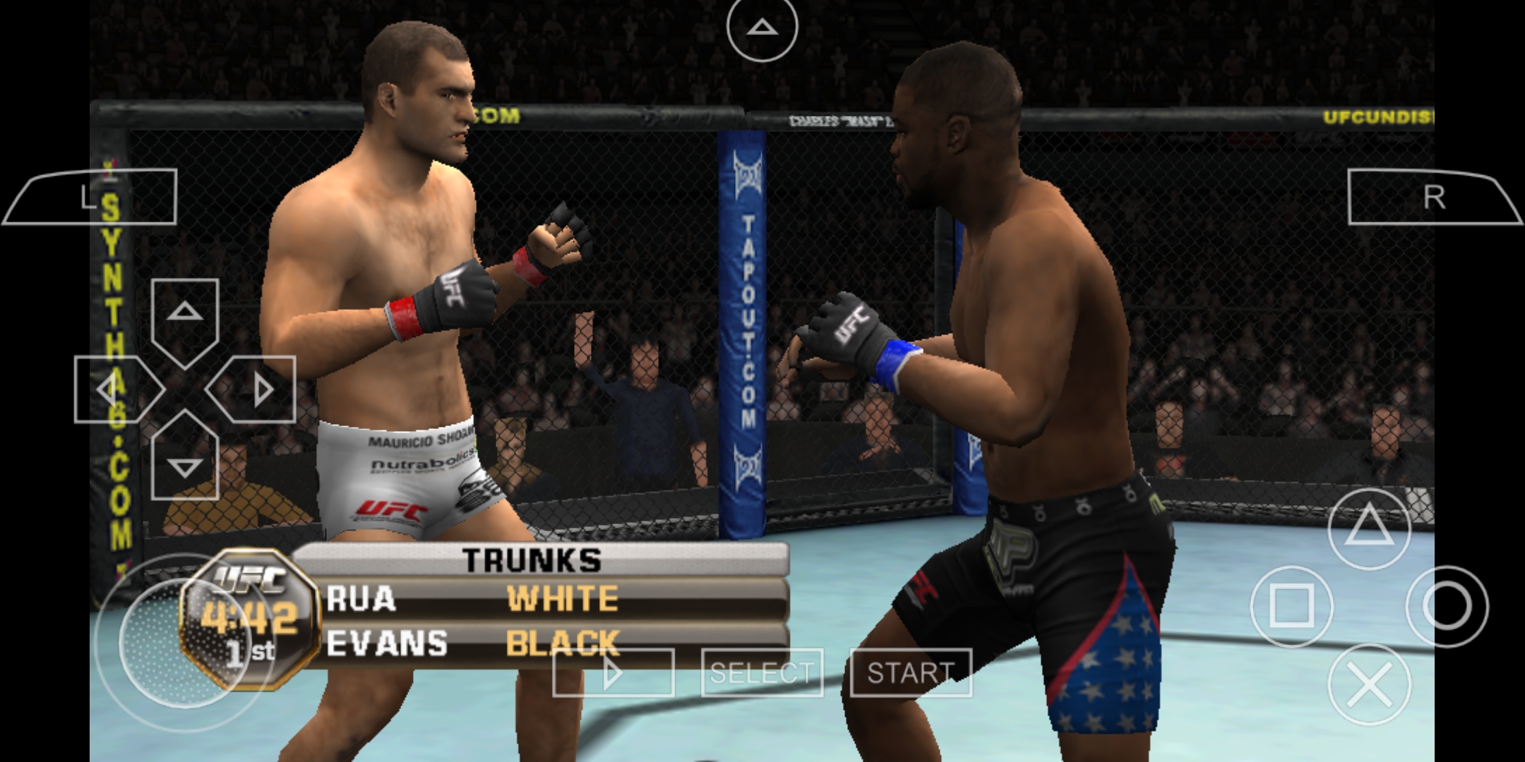 UFC终极格斗冠军赛2010