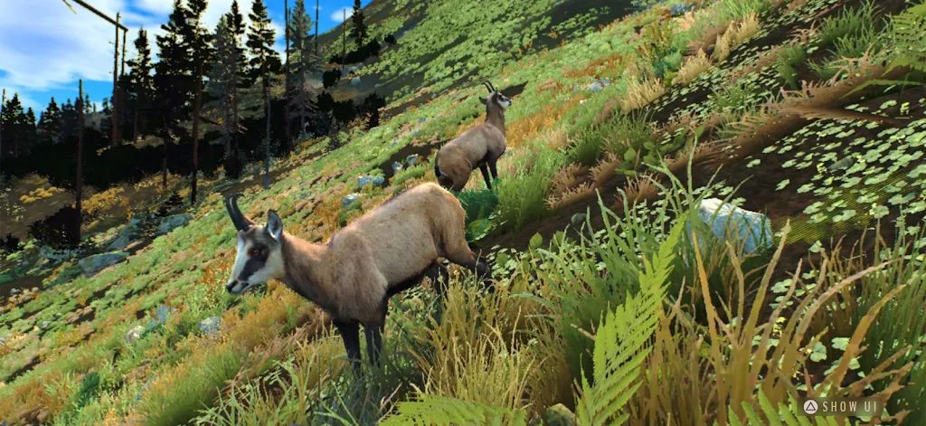 猎人之道:狂野欧洲