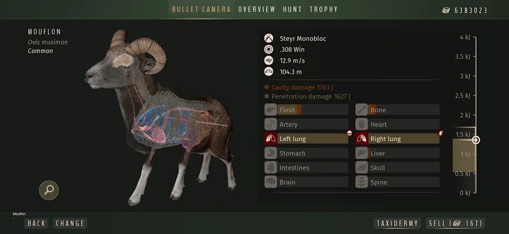 猎人之道:狂野欧洲