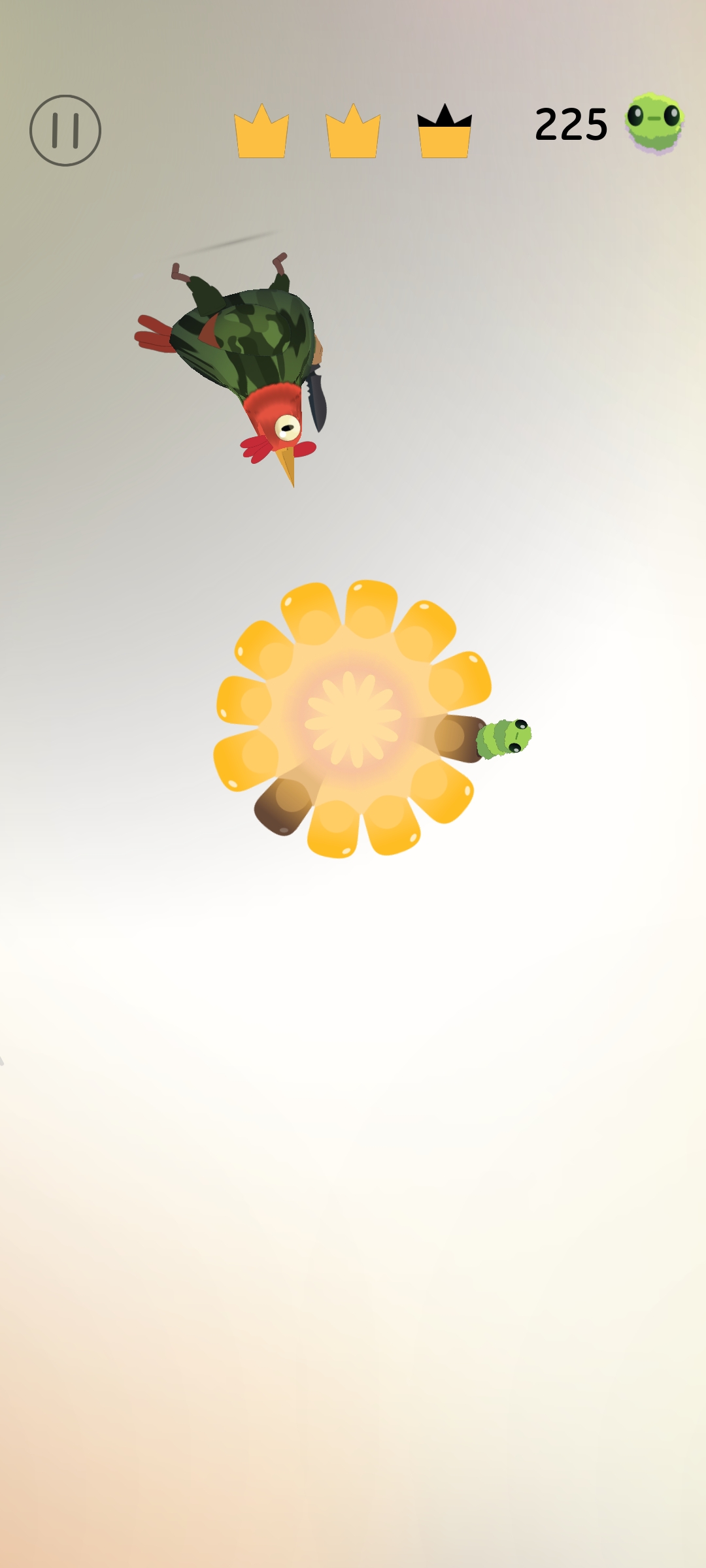 疯狂的鸽子(快手热游) 疯狂的鸽子(快手热游)