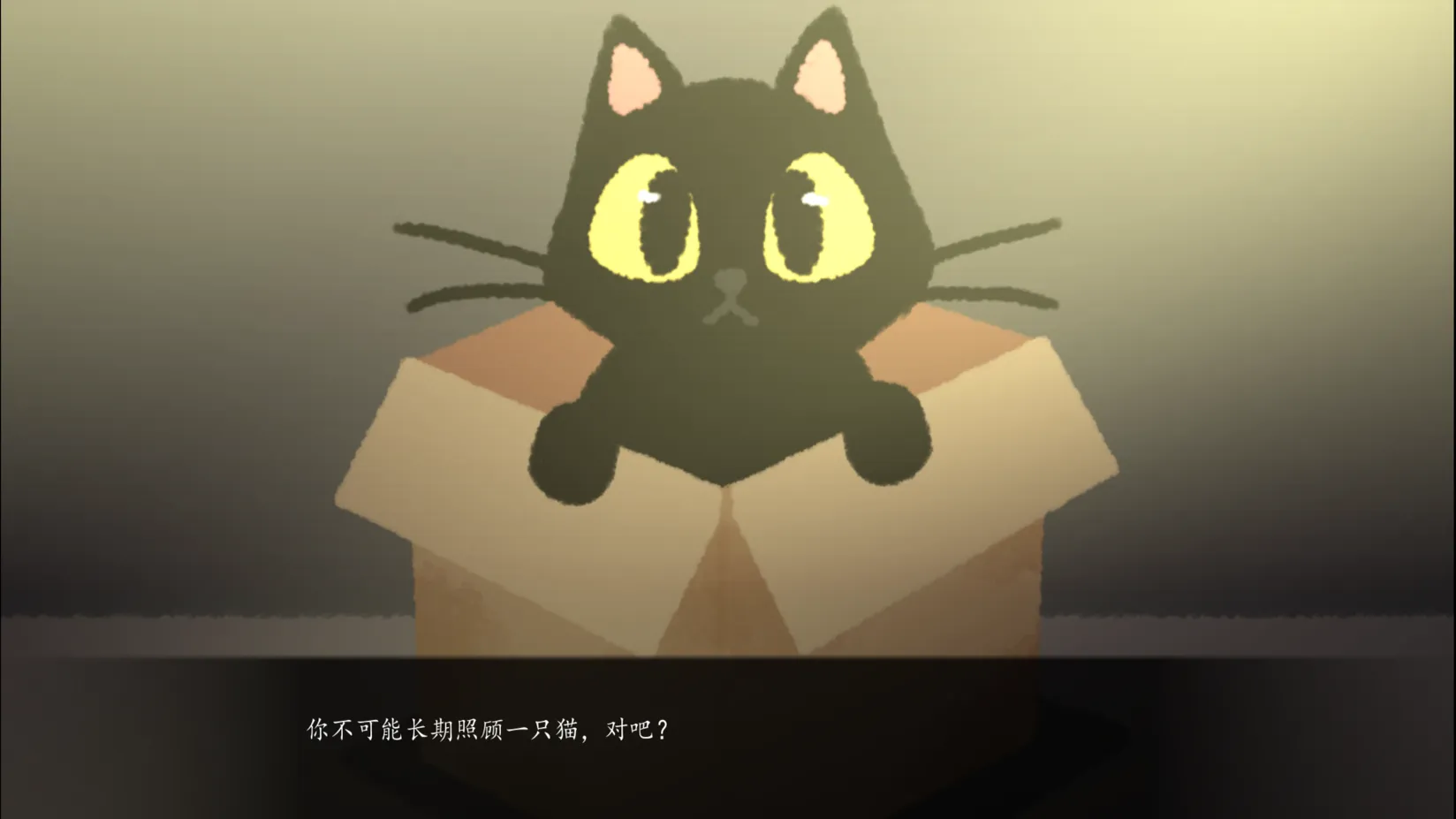 别带这只猫回家