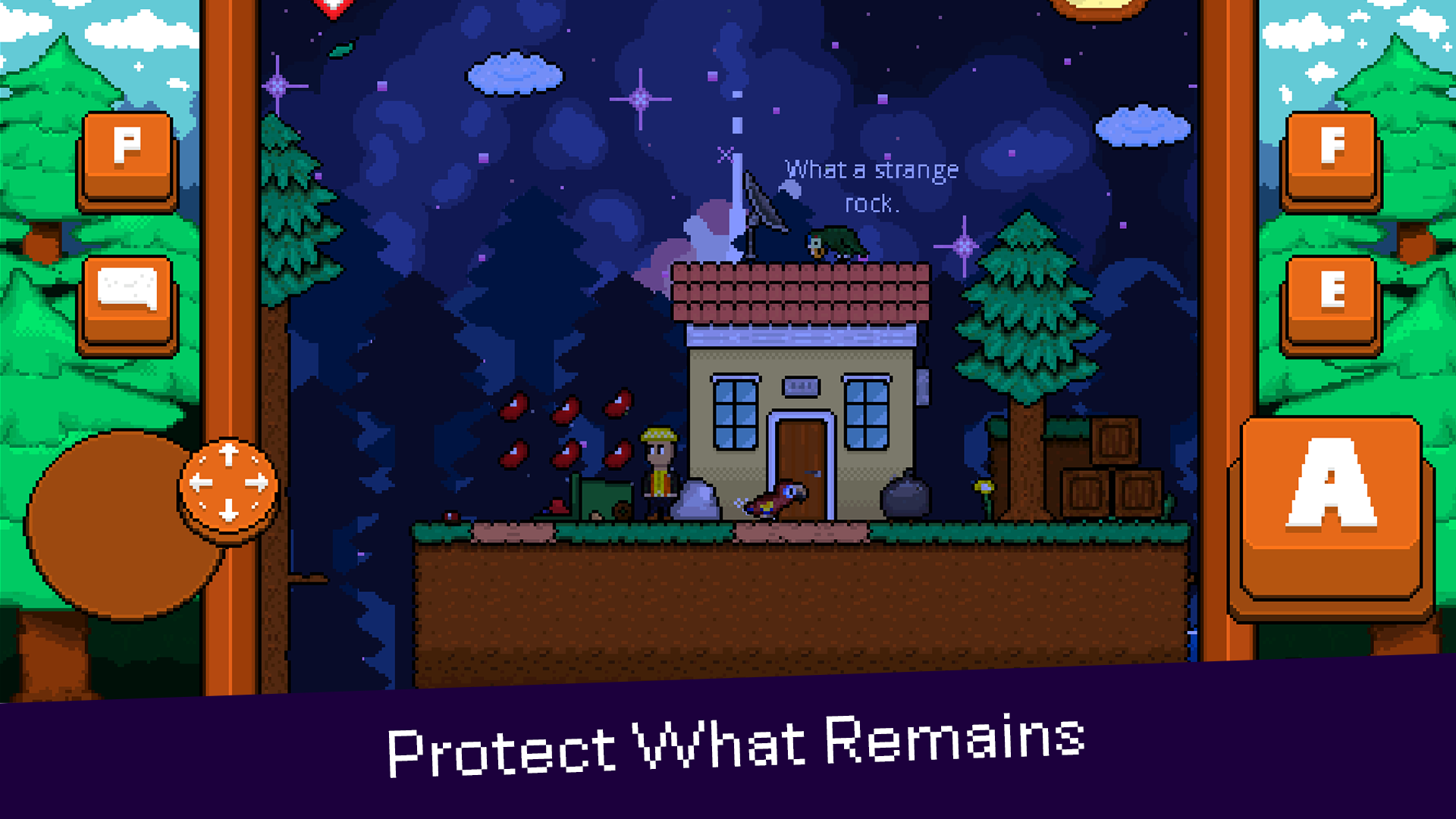 最后的金刚鹦鹉(steam移植)