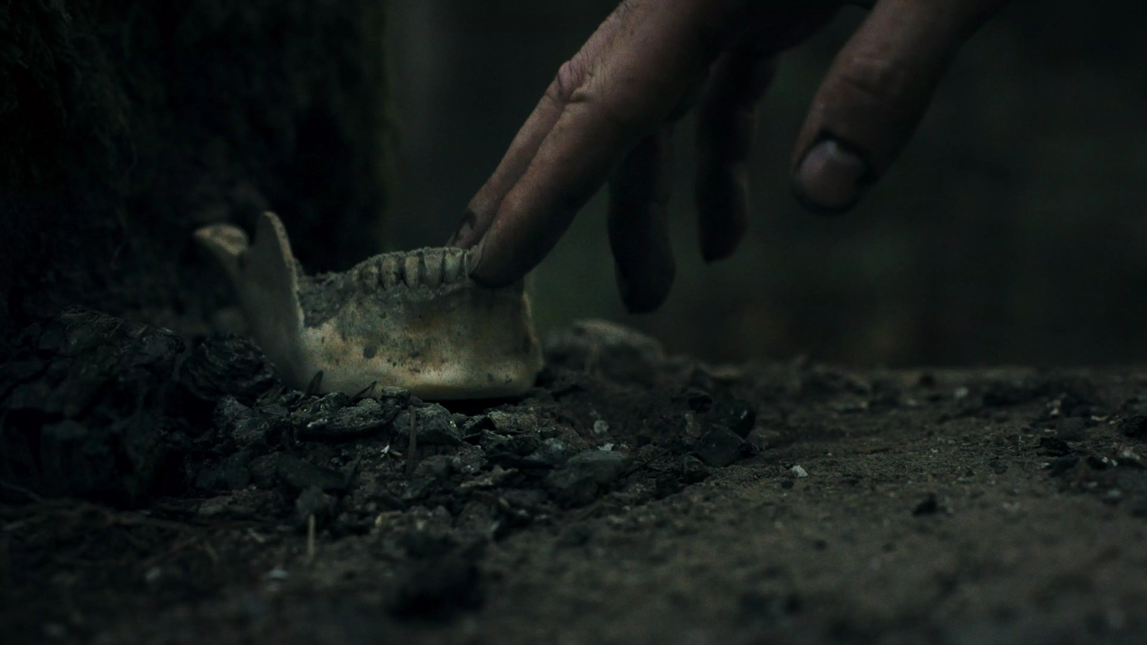 幽林深处(steam移植) 幽林深处(steam移植)