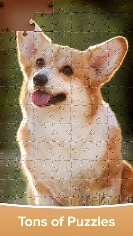 拼图游戏：高清益智游戏