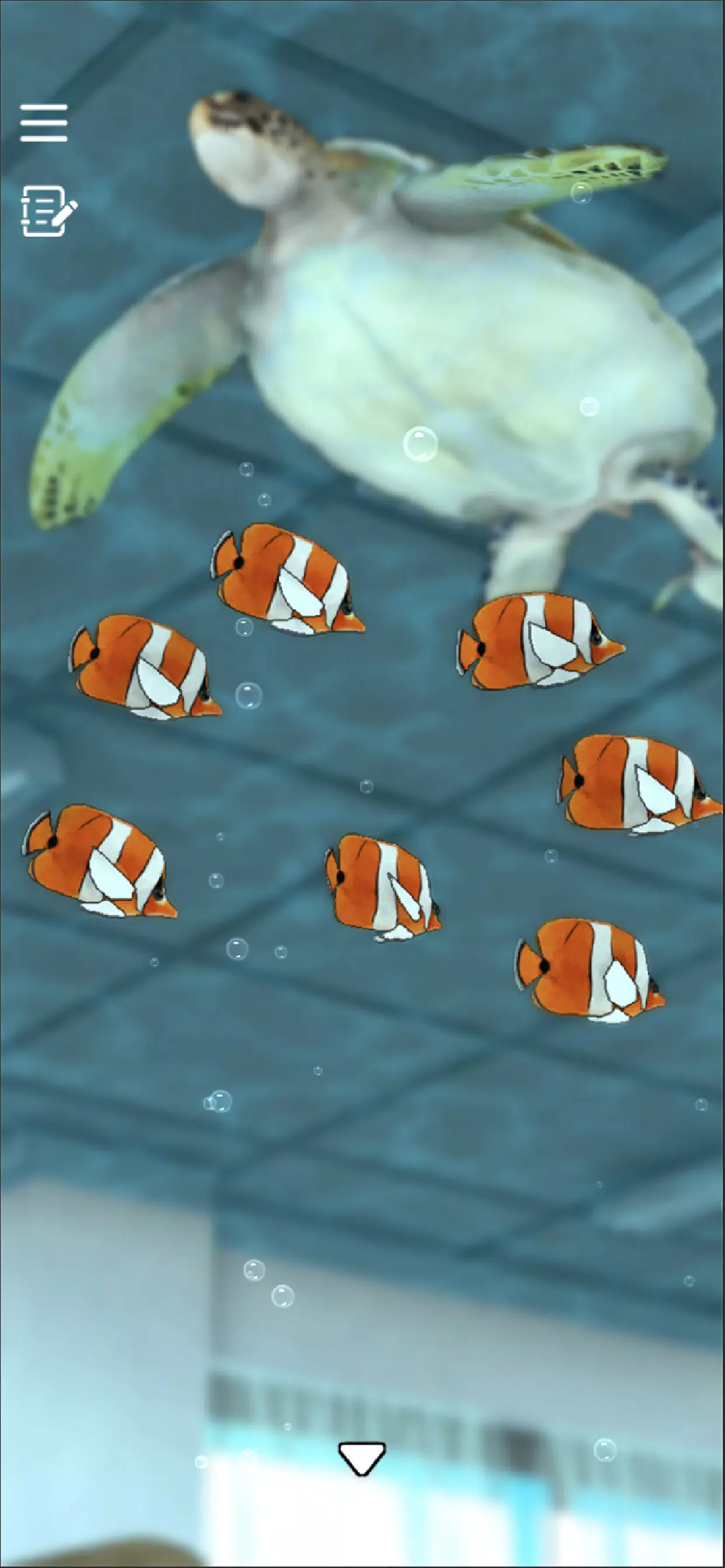 密室逃脱：青色放课后