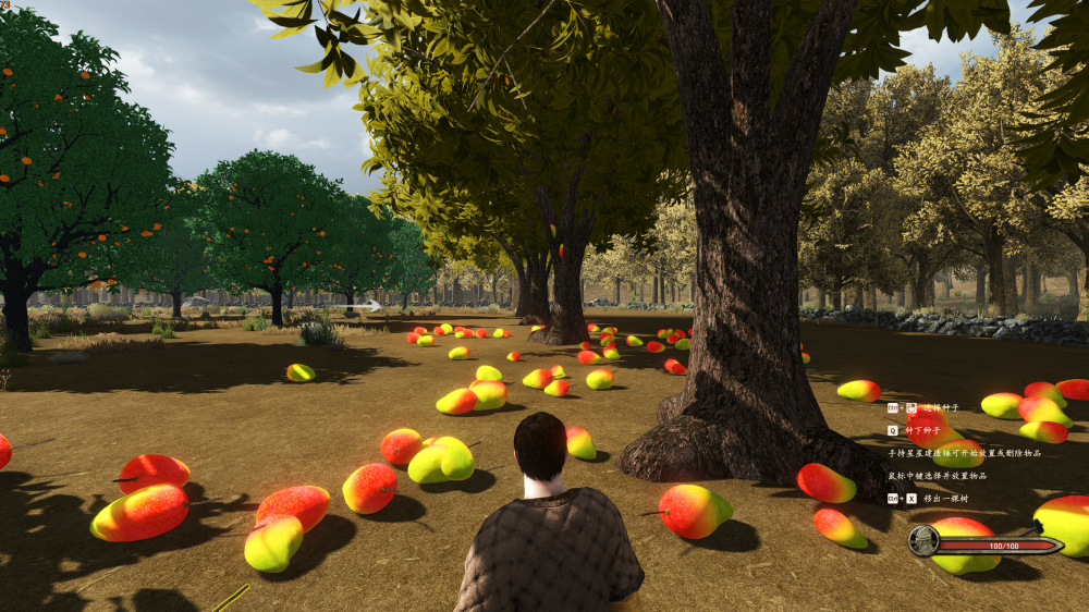 骑马与砍杀：星星传说(游戏助手)