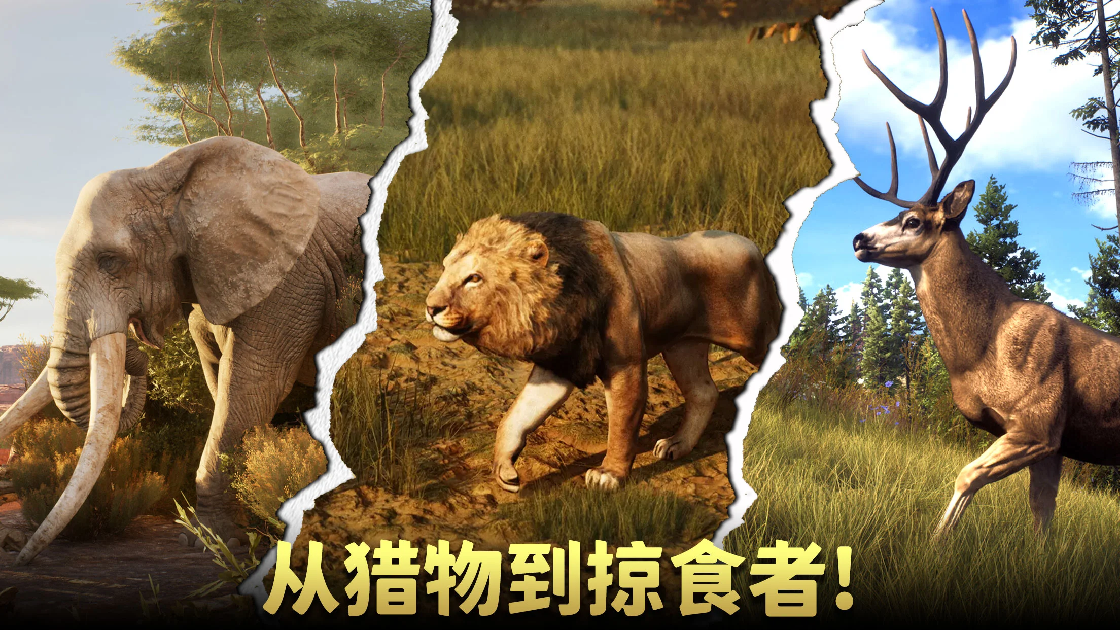 动物猎人：荒野狙击手