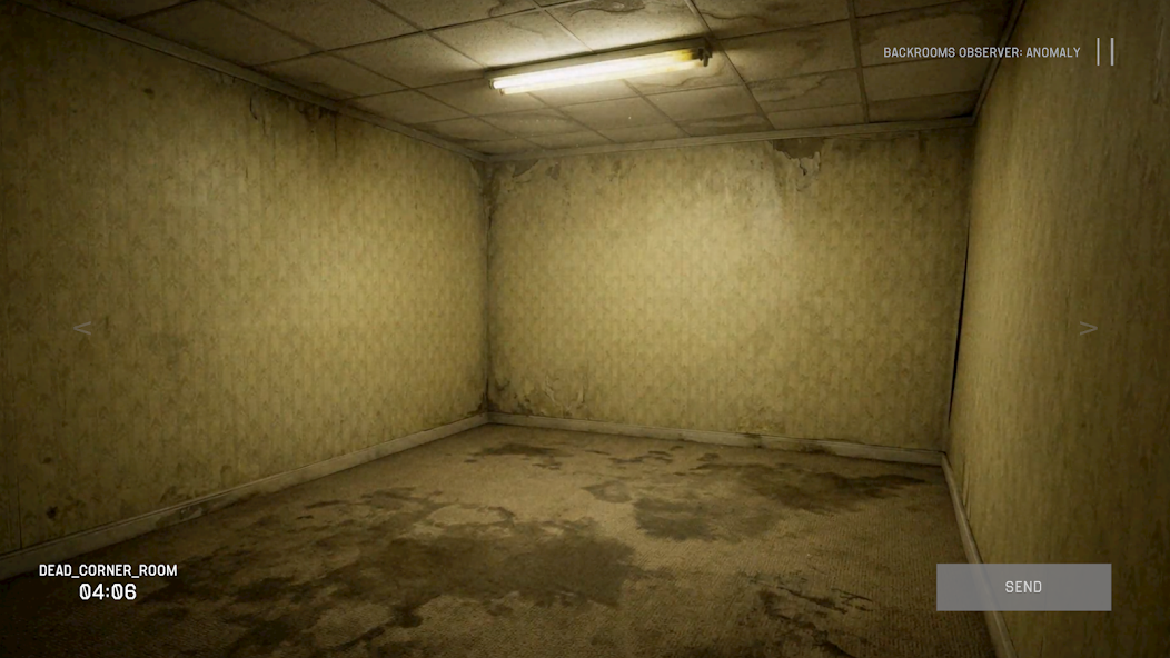 后室观察者：异常