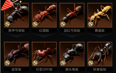 【功能预告】海岛特化蚁加入常规池！
