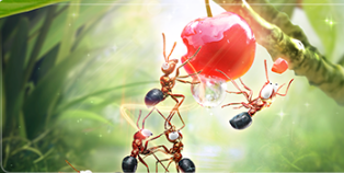 【更新预告】自动狩猎上线啦~